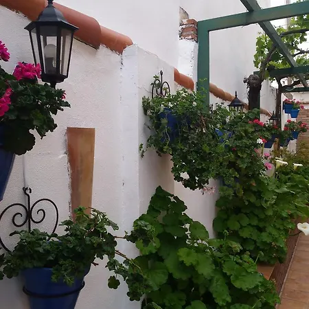 Country house Casa Marta Tajarja